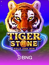 tiger-stone